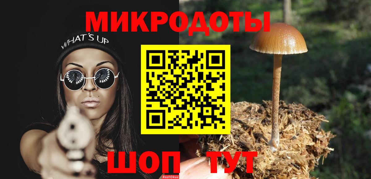 Галлюциногенные грибы прущие грибы Арзамас