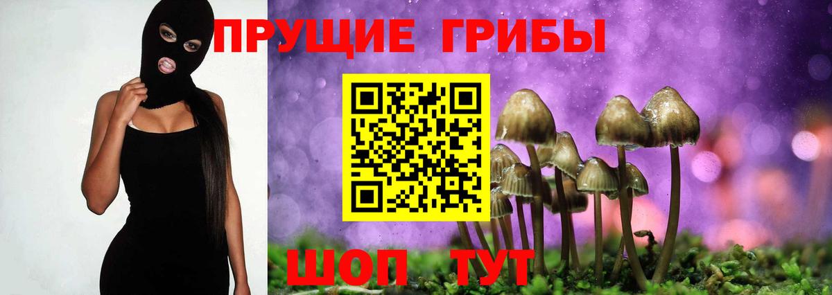 Арзамас  Псилоцибиновые грибы GOLDEN TEACHER  Вход с VPN 